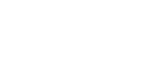 ace terra logo