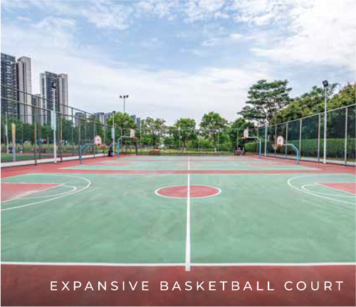 basketball-court